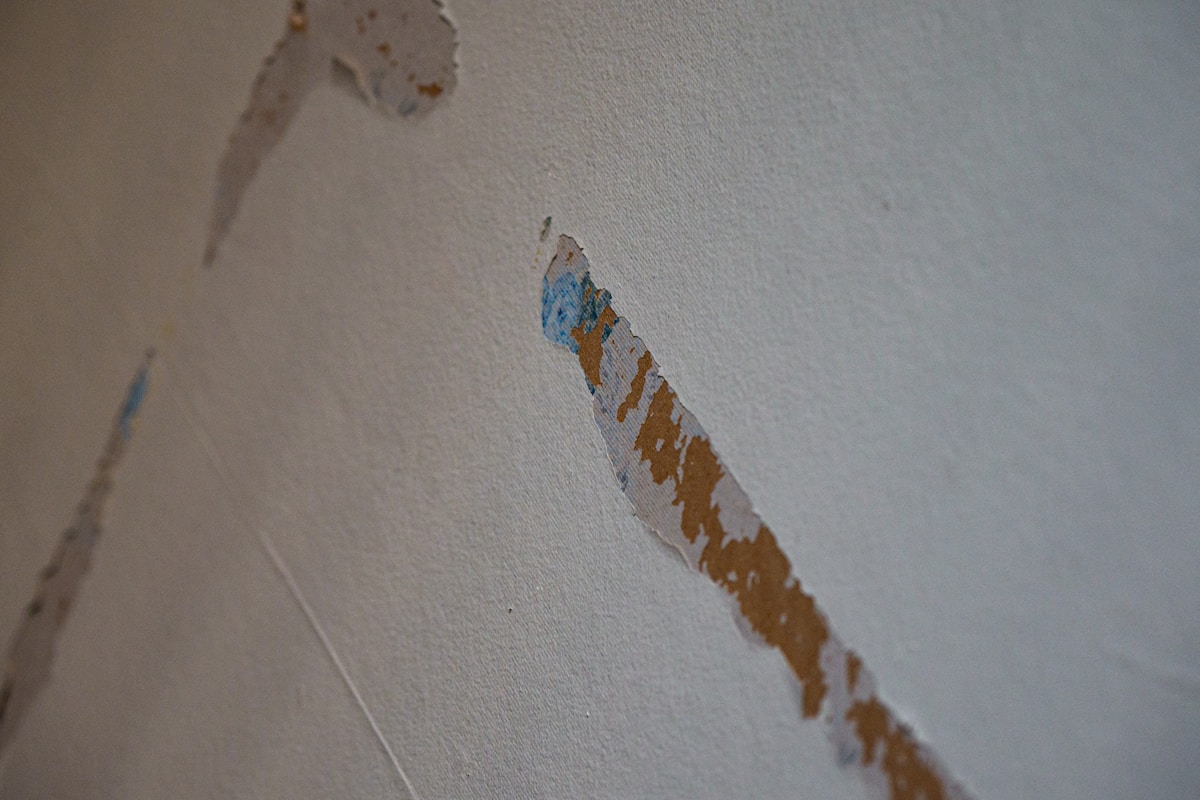 Commercial Water Damage service in Macon, GA